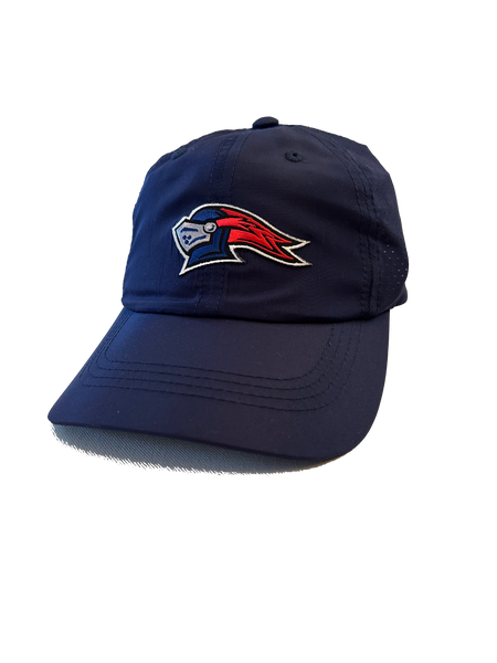 NEW Nike Knight Head Adjustable Navy Cap – University Liggett School Logo  Store