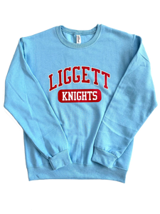 NEW Adult Light Blue Crewneck Sweatshirt