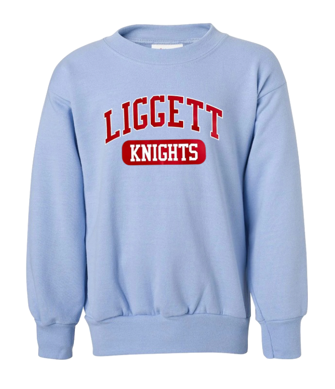 Youth Light Blue Crewneck Sweatshirt