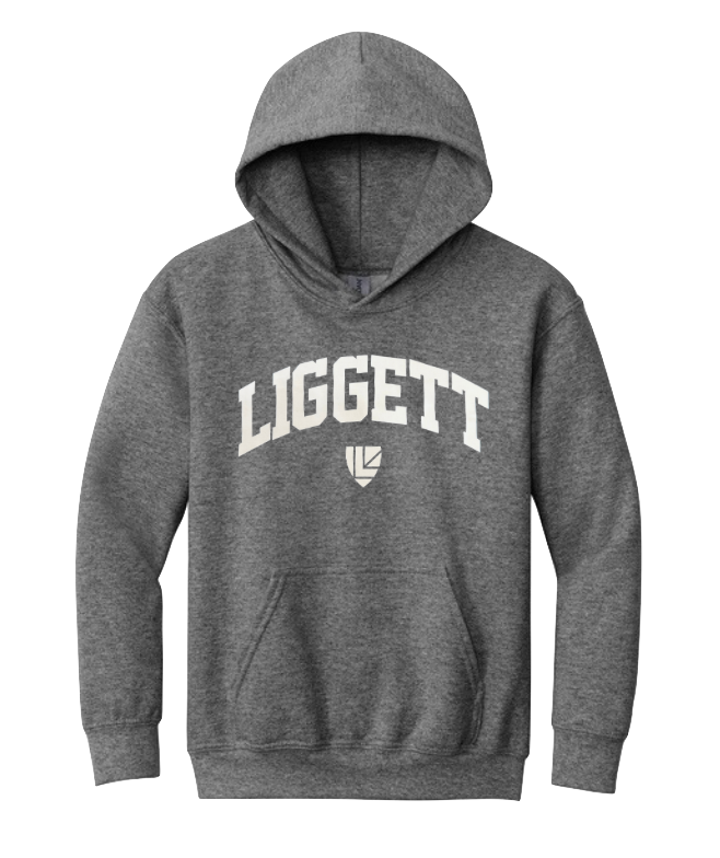 Youth Liggett Graphite Heather Grey Hoodie