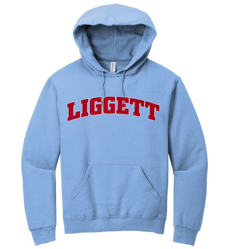 NEW Adult Liggett Light Blue Hoodie