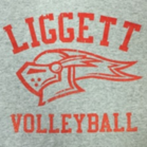 Adult Volleyball SS Tee
